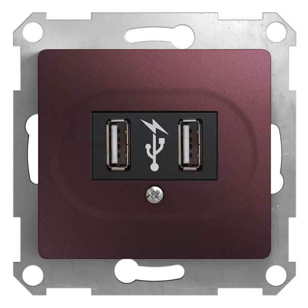 Розетка SE Glossa  Баклажан USB  2-м  GSL001132