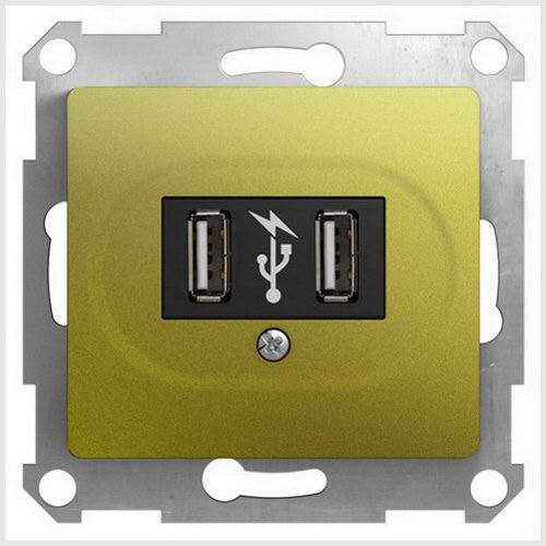Розетка SE Glossa  Фисташк.  USB  2-м  GSL001032