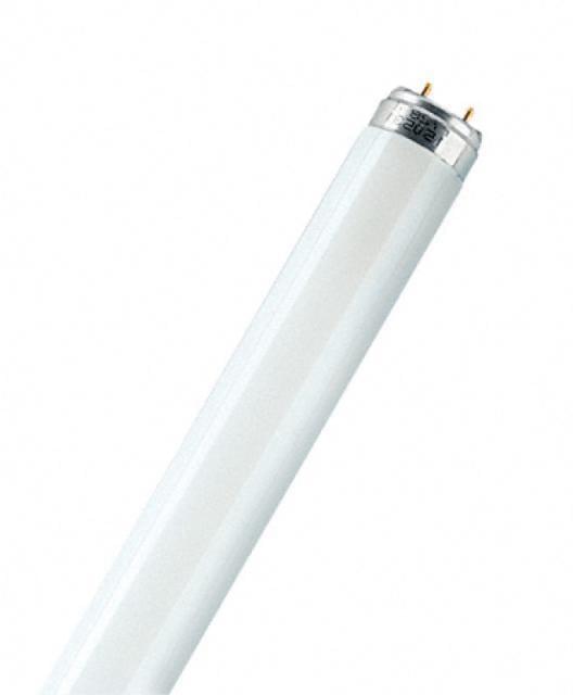 Лампа OSRAM L  36W/640 Т8 G13 холодная-белая  959713/63328