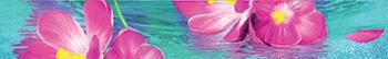 Ocean flowers B300D240  Бордюр 45х300