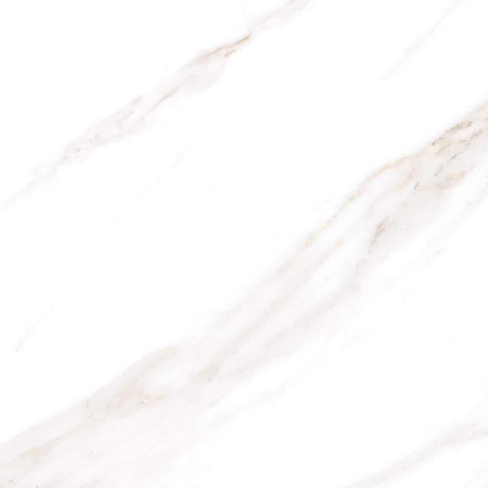 Calacatta Regal Gold Керамогранит белый 800х800 Матовый