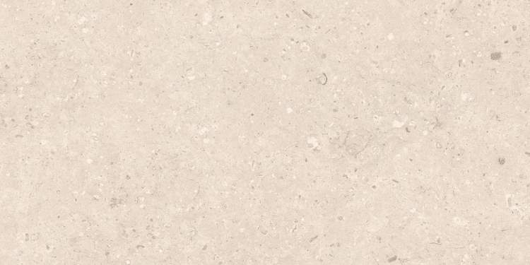 Rockberry Beige 300х600