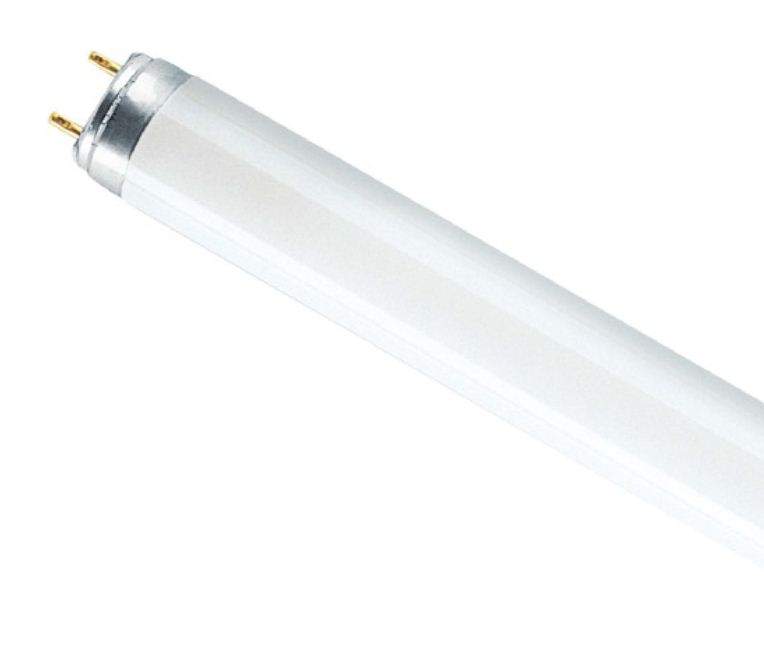 Лампа OSRAM L  30W/765  G13  белая  959706