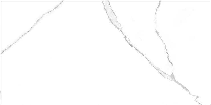 Гордость / Pride_GT 6260-0212 Керамогранит  Белый 300х600 _ 8\1,44\28,76\46,08