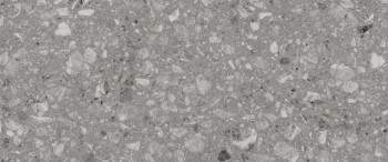 Terrazzo grey 01  обл/п 250х600 