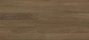 Quarta brown wall 04 250х600