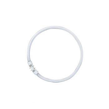 Лампа OSRAM FC  22W/840  2GX13  4000K  69215