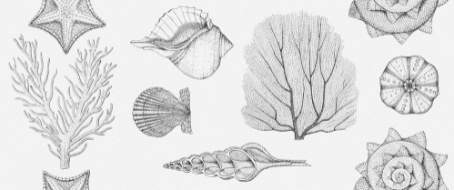 Aqua white 01  обл/п  250х600    