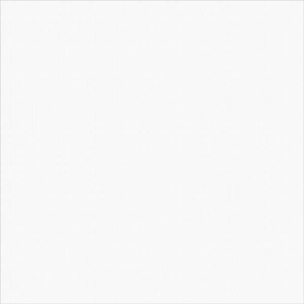 Diamond White FT3DAI00 Керамогранит 410х410 (11 шт в уп/74 м в пал)