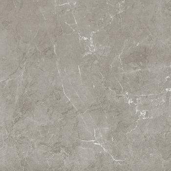 Scandy Керамогранит серый обрезной SG645220R 600х600 _5\1,8\36,3