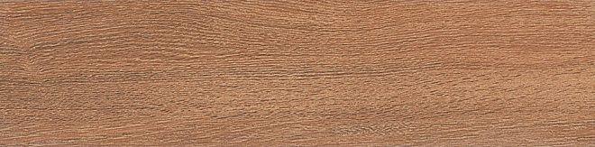 Вяз коричневый  99х402 n033630