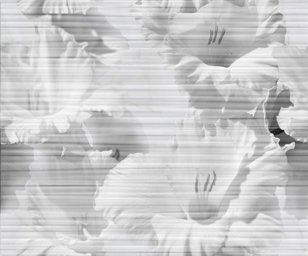 Celia white panno 01 500х600