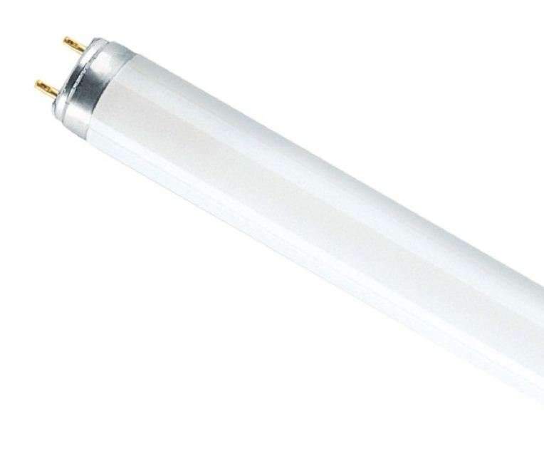 Лампа OSRAM ЛЛ L 15W/865 25x1  4050300446189