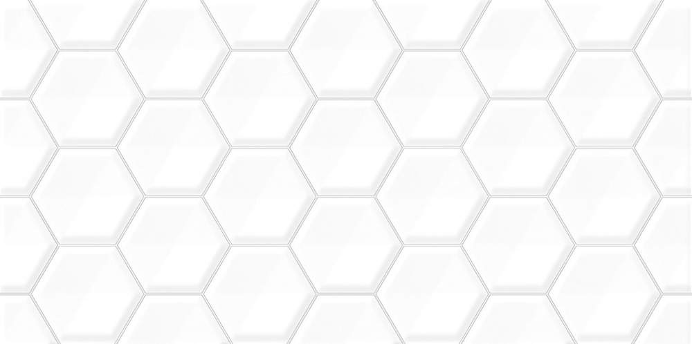 Bilbao TWU09BLB010 обл/п рельефная  249х500х8,5 (11 шт в уп/73,98 м в пал)