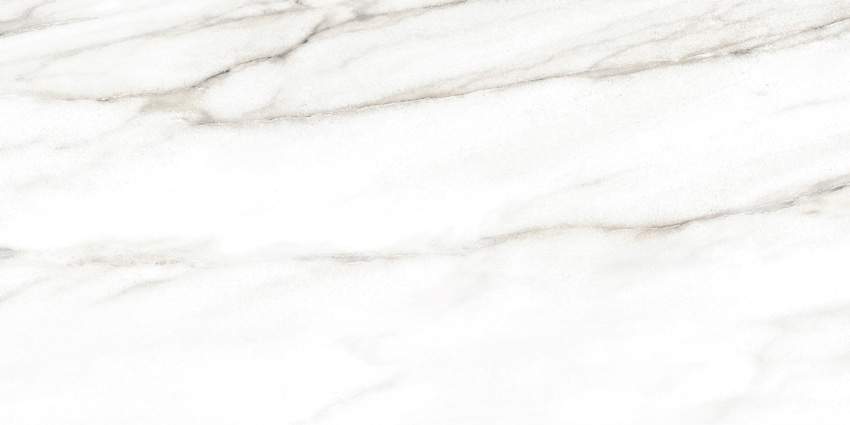 Euphoria   плитка облицовочная  TWU2550EPH04  249х500 (10 шт в уп/70,965 м в пал)