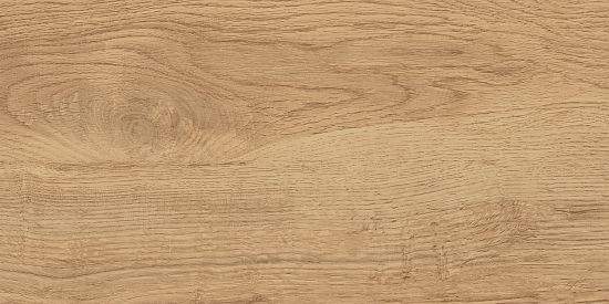 Florida_GT  Керамогранит  Беж. 300x600  1\58,32  GT220VG 