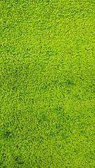 Ковер Varo  2001  0,6*1,0  Green